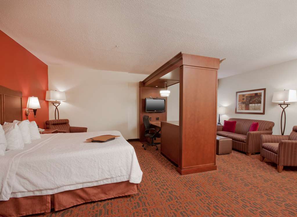 Hampton Inn Grand Rapids/North Walker Rum bild